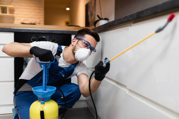 Best Residential Pest Control  in Zionsville, IN