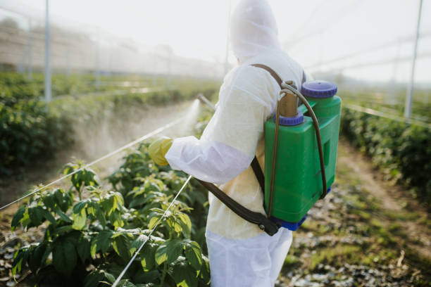 Best Mosquito Control Services  in Zionsville, IN